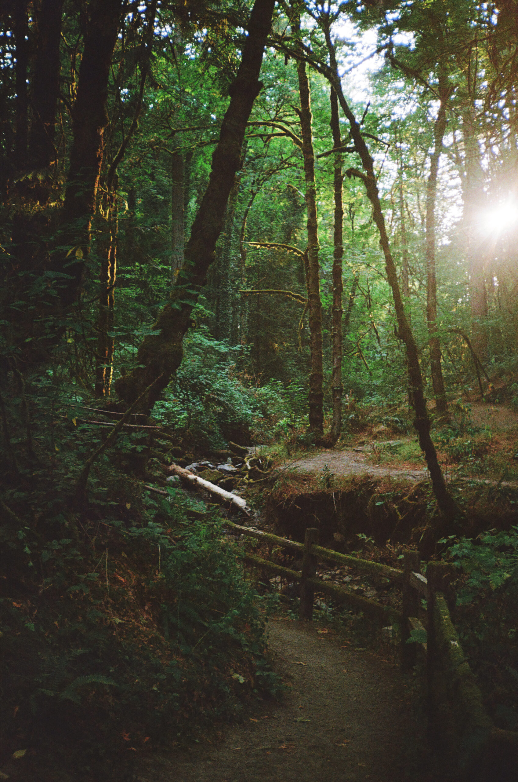 Neighborhood Stroll, Portland Oregon