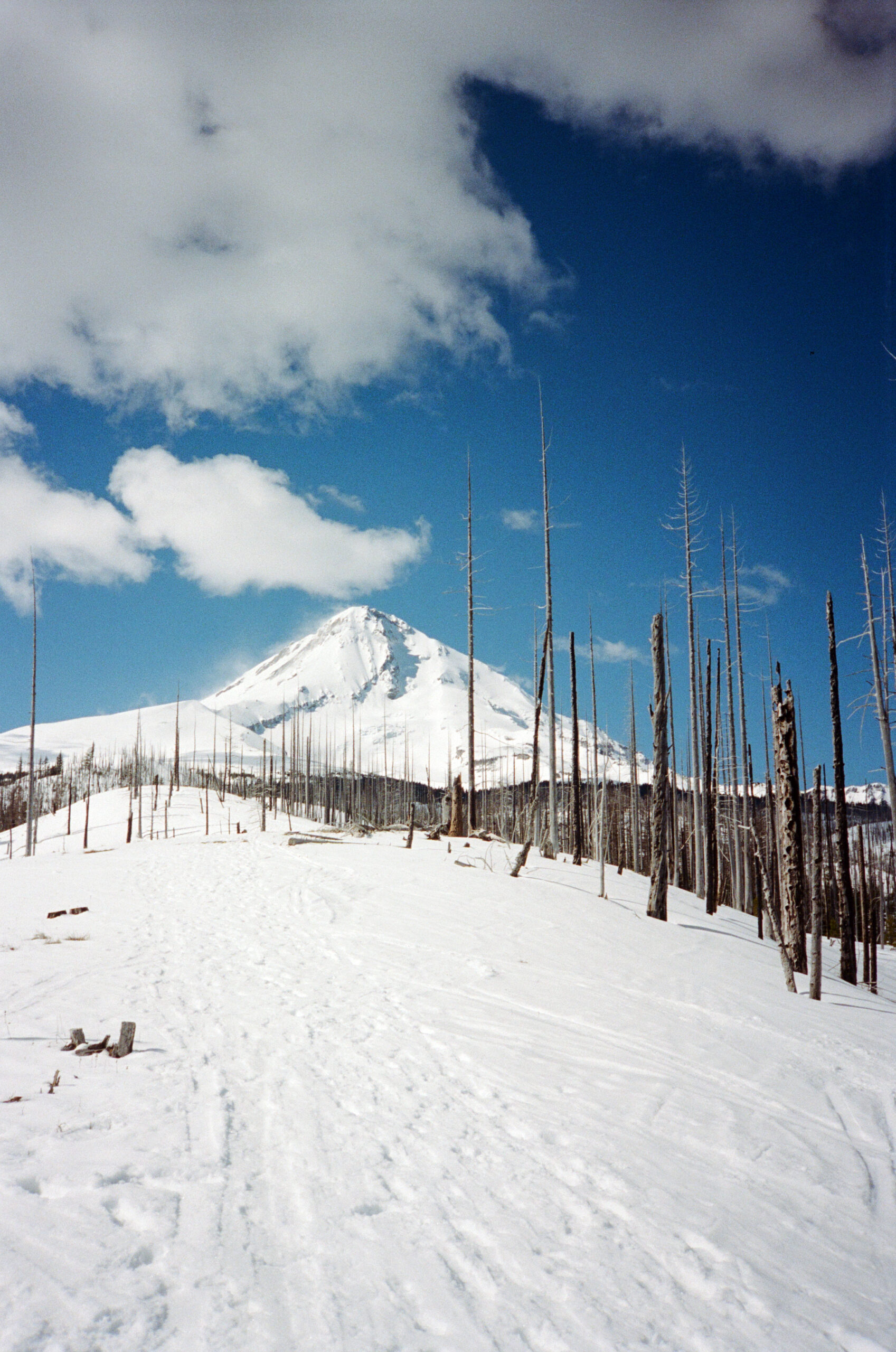 Ski Tour, Mt Hood Oregon